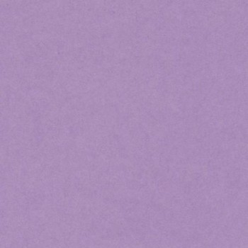 PAQUETE 50 CARTULINAS IRIS A3 185GR. LILA