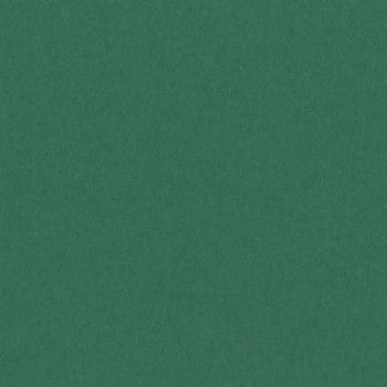 PAQUETE 50 CARTULINAS IRIS  A4 185 GR. VERDE ABETO