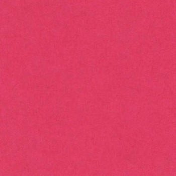 PAQUETE 50 CARTULINAS IRIS  A4 185 GR. FUCSIA