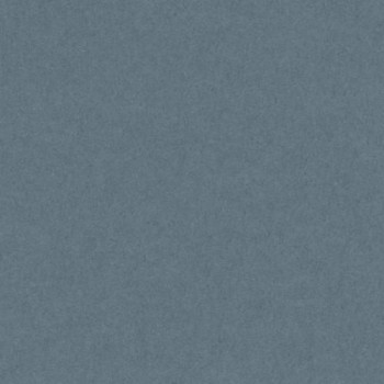 PAQUETE 50 CARTULINAS IRIS  A4 185 GR. GRIS PLOMO