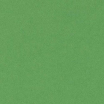 PAQUETE 50 CARTULINAS IRIS  A4 185 GR. VERDE BILLAR