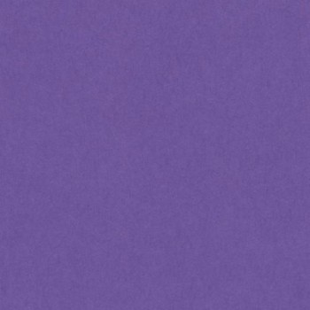 PAQUETE 50 CARTULINAS IRIS  A4 185 GR. VIOLETA