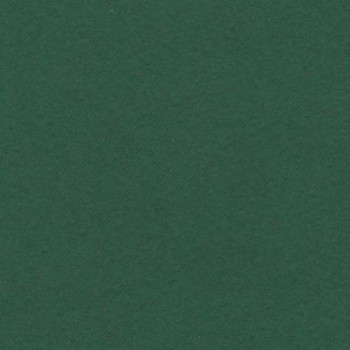 PAQUETE 25 CARTULINAS IRIS 50X65 185GR. VERDE AMAZONAS / SELVA