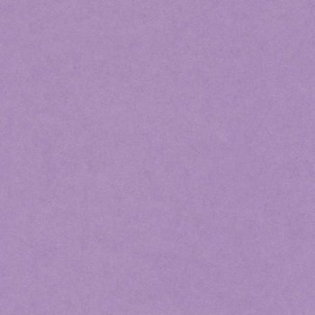 PAQUETE 25 CARTULINAS IRIS 50X65 185GR .LILA