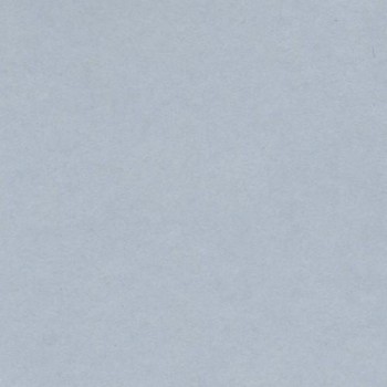 PAQUETE 25 CARTULINAS IRIS 50X65 185GR. GRIS PERLA