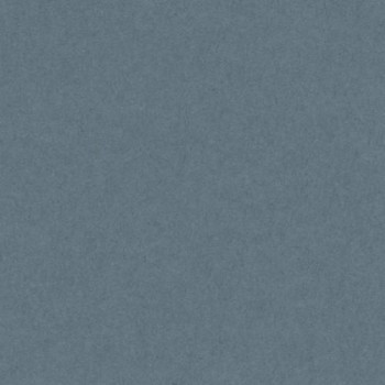 PAQUETE 25 CARTULINAS IRIS 50X65 185GR. GRIS PLOMO