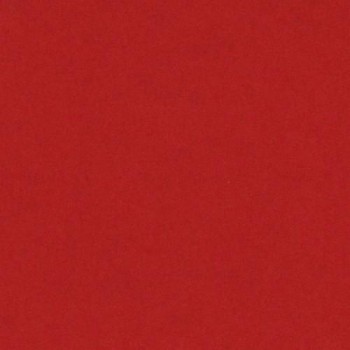 PAQUETE 25 CARTULINAS IRIS 50X65 185GR. ROJO