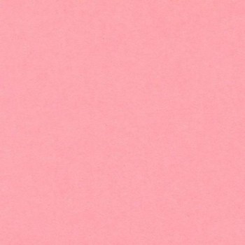 PAQUETE 25 CARTULINAS IRIS 50X65 185GR. ROSA
