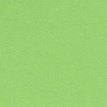 PAQUETE 25 CARTULINAS IRIS 50X65 185GR. VERDE MANZANA