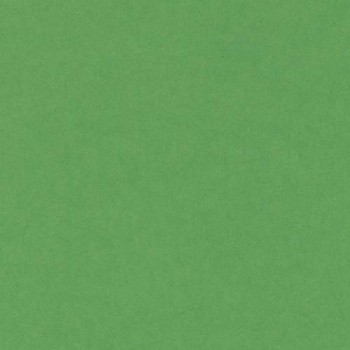 PAQUETE 25 CARTULINAS IRIS 50X65 185GR. VERDE BILLAR