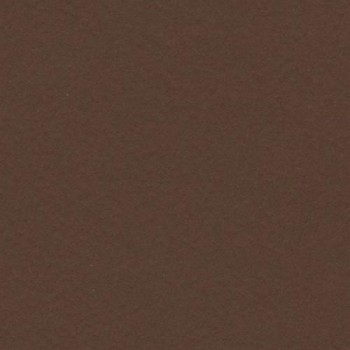 PAQUETE 25 CARTULINAS IRIS 50X65 185GR. CHOCOLATE