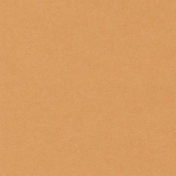 PAQUETE 25 CARTULINAS IRIS 50X65 185GR.CUERO