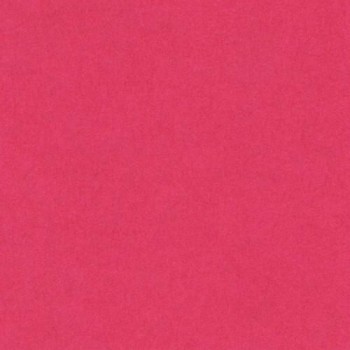 PAQUETE 25 CARTULINAS IRIS 50X65 185GR.  FUCSIA