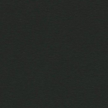 PAQUETE 25 CARTULINAS IRIS 50X65 185GR. NEGRO