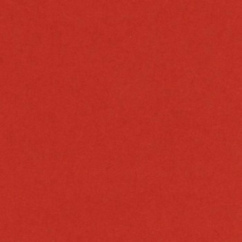 PAQUETE 25 CARTULINAS IRIS 50X65 185GR. TOMATE