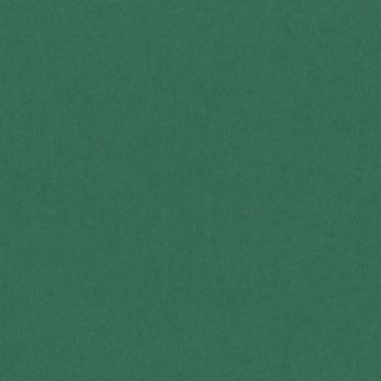 PAQUETE 25 CARTULINAS IRIS 50X65 185GR. VERDE ABETO
