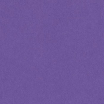 PAQUETE 25 CARTULINAS IRIS 50X65 185GR. VIOLETA
