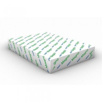 PAQUETE 250H PAPEL COUCHE DIGITAL SATIN 170G 33X48,2 CM