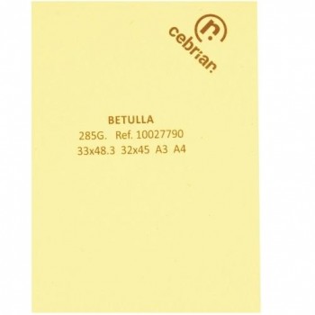 PAQUETE 100 HOJAS 32X45 285G CARTULINA WOODSTOCK BETULLA