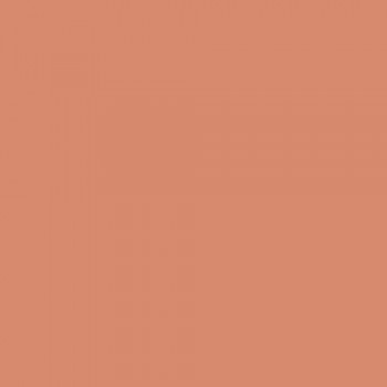 PAQUETE 25 CARTULINAS IRIS 50X65 CM 185 GR. CORAL