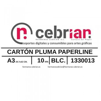 CAJA 15 HOJAS CARTON PLUMA A3 10MM PAPERLINE