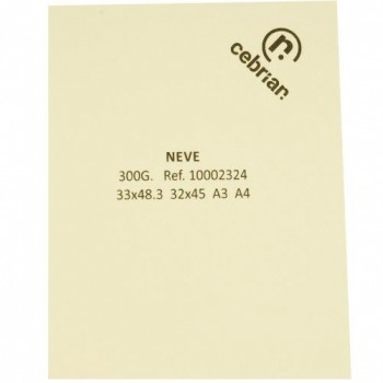 PAQUETE 100 HOJAS A4 350G TINTORETTO NEVE
