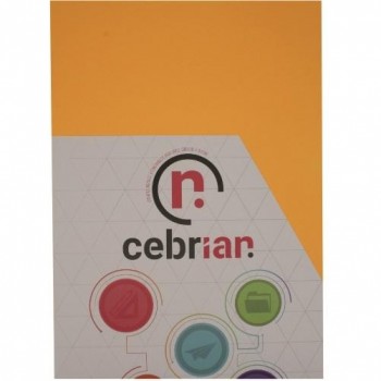 PAQUETE 100 HOJAS NEON NARANJA NEOOR A4 80G