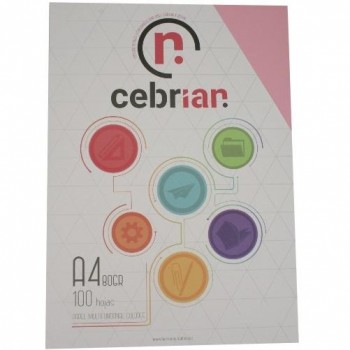PAQUETE 100 HOJAS ROSA PI25 A4 80G