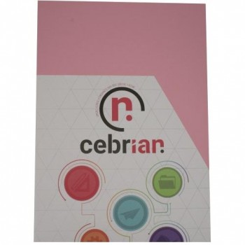 PAQUETE 100 HOJAS ROSA PI25 A4 80G
