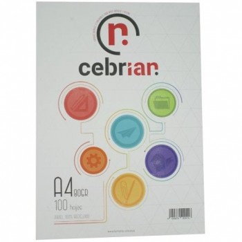 PAQUETE DIN-A4 80G 100 HOJAS RECICLADO