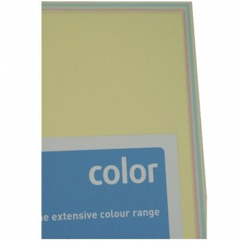 PAQUETE 250 HOJAS SURTIDO COLORES SUAVES (GN27, BL29, YE23, OPI74 Y CR20) A4 80G