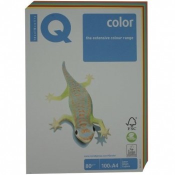 PAQUETE 250 HOJAS SURTIDO COLORES FUERTES (LG46, AB48, CY39, OR43 Y CO44) A4 80G