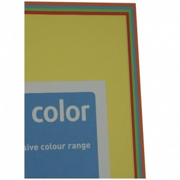 PAQUETE 250 HOJAS SURTIDO COLORES FUERTES (LG46, AB48, CY39, OR43 Y CO44) A4 80G