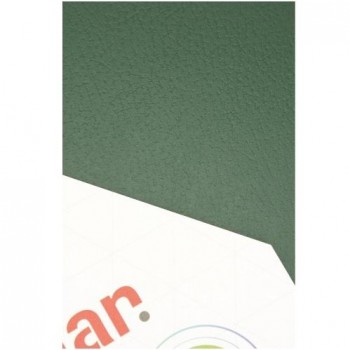 PAQUETE 50 U. A3 CARTON VERDE CARTACOL