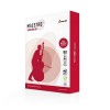 PAQUETE 500 HOJAS A4 80G. MAESTRO STANDARD +