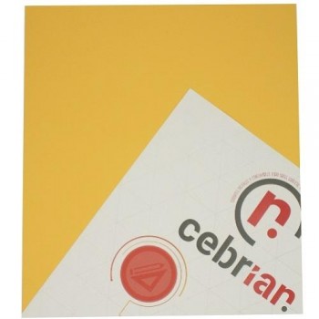 PAQUETE 50 CARTULINAS 180G A4 ORO