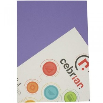 PAQUETE 50 CARTULINAS 180G A4 PÚRPURA