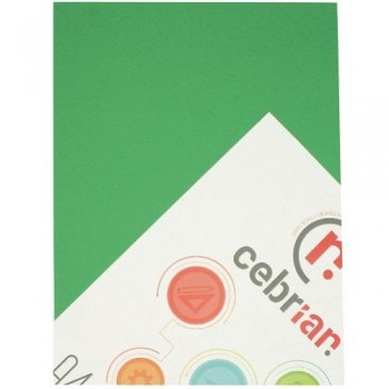 PAQUETE 125 CARTULINAS 180G 50X65 VERDE NAVIDAD