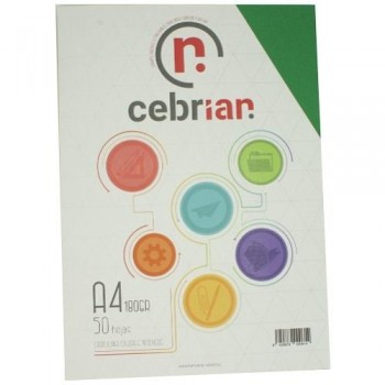 PAQUETE 25 CARTULINAS 180G 50X65 VERDE NAVIDAD